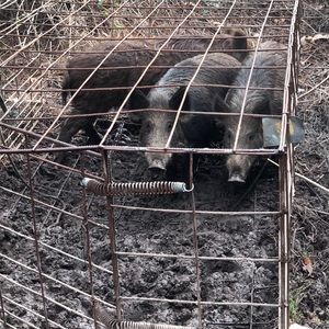 Meet your Posher, Timothy